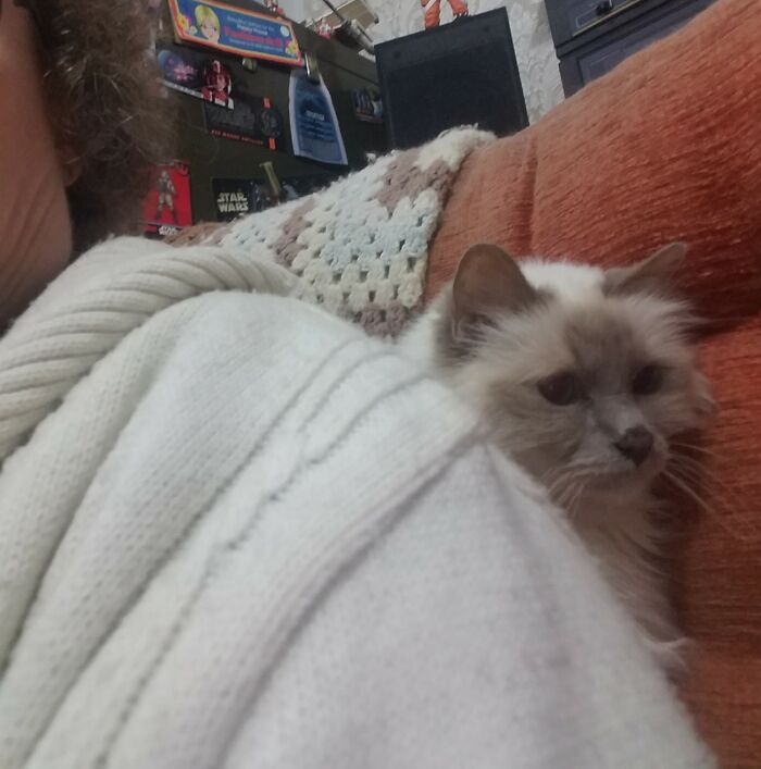 I Was On The Chair First