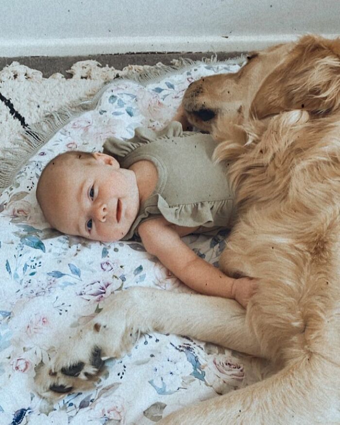 Mum You Need To Fatten Her Up So She Is More Comfortable To Lay On, Thanks