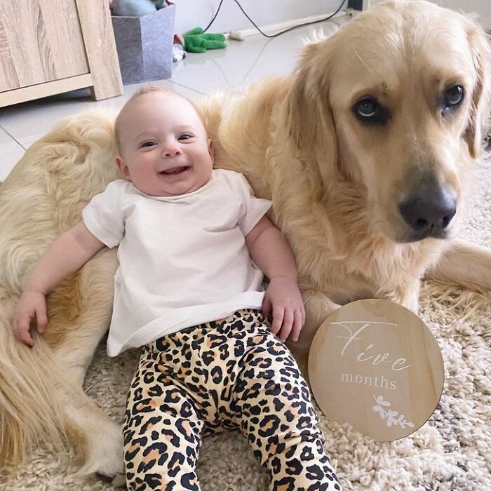 5 Months With Macy, Hopefully That Puts Double Chin To Good Use And Stores Some Food Under It For Me