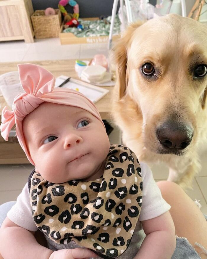 Well That’s Not Fair, That Bow Is Asking For Me To Rip It Off Her Head. Not My Issue If You Come Back And It’s Gone