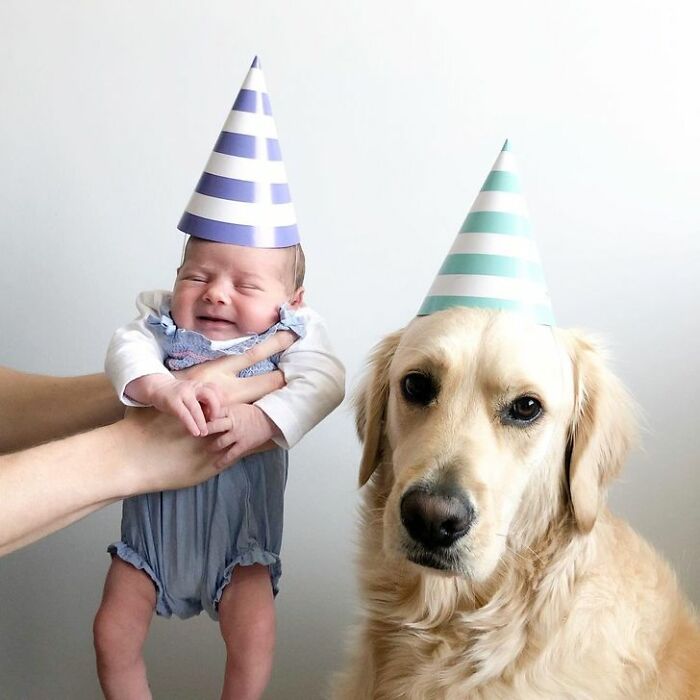 Happy Birthday To Me! Thanks For Stealing My Birthday Thunder Macy, Might Have To Bark At 2 Am When You Are Sleeping