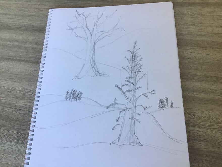 Yeehaw? More Like Tree-Haw