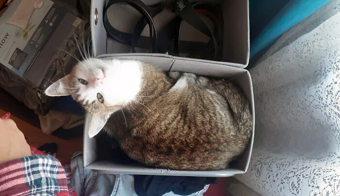 Just The Most Recent One, There's Too Many Cute Moments To Share