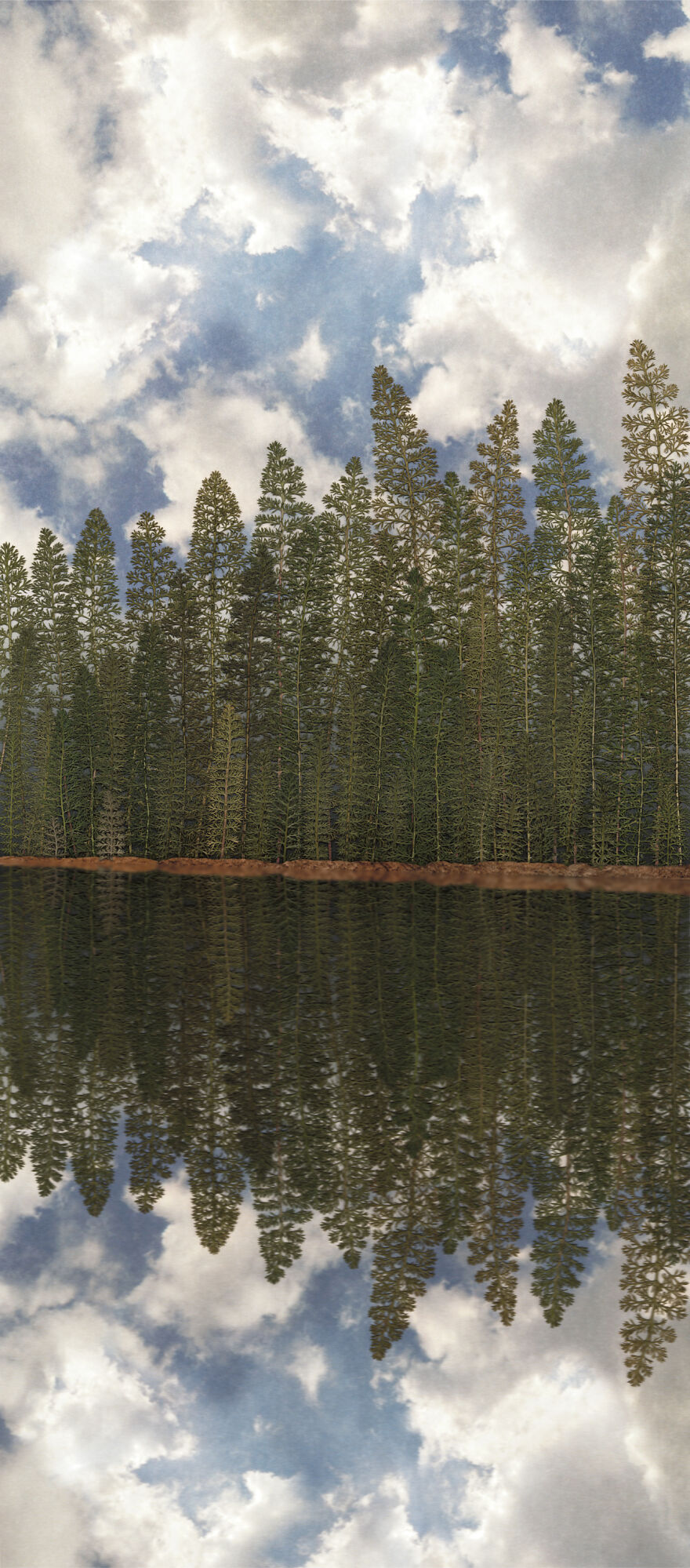 I Make Art From Pressed Dried Flowers And Plants I Make Art From Pressed Dried Flowers And Plants