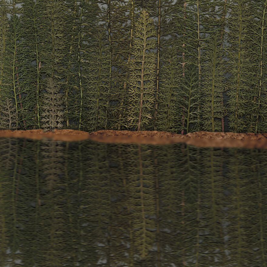 I Make Art From Pressed Dried Flowers And Plants