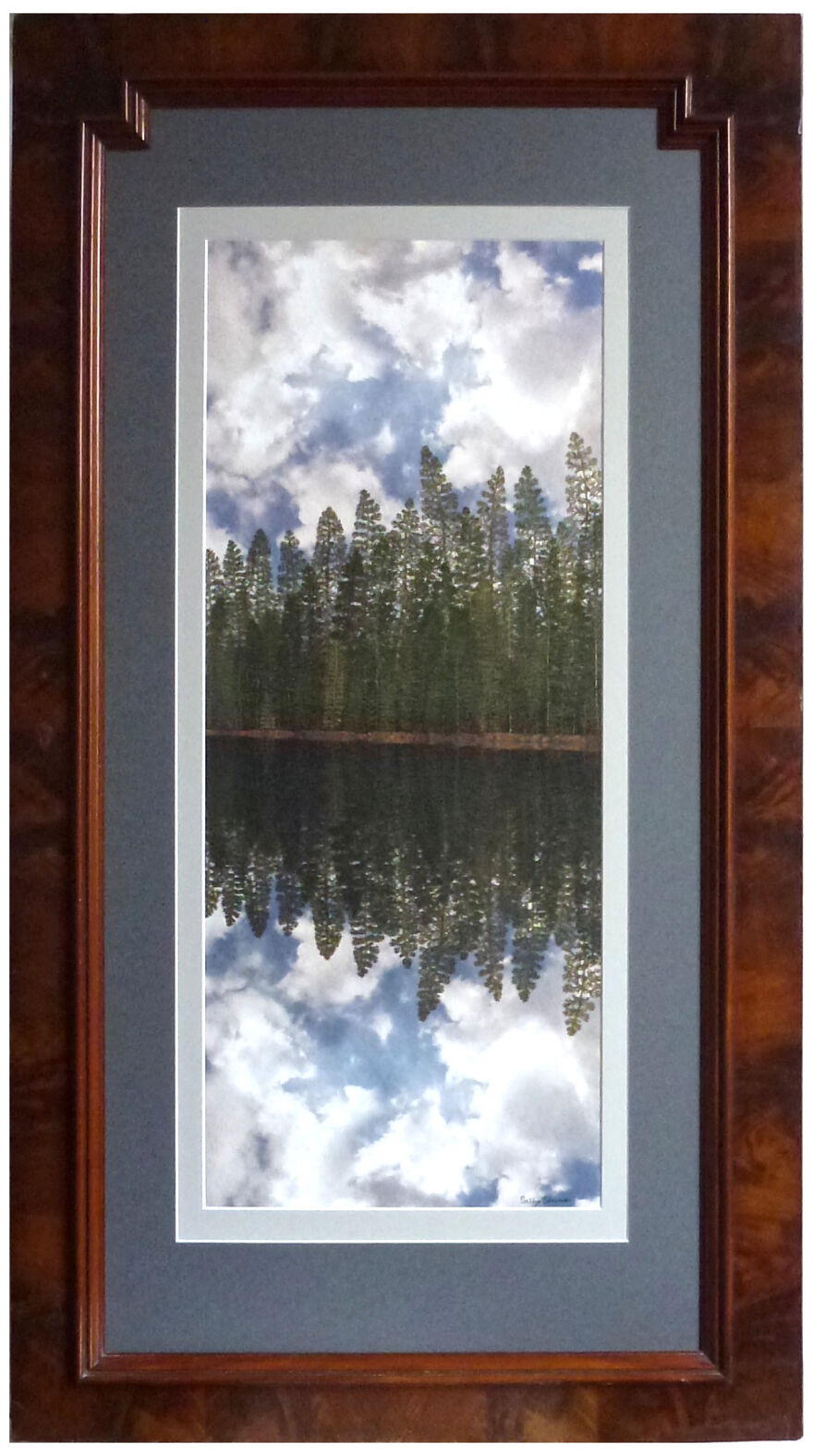 I Make Art From Pressed Dried Flowers And Plants I Make Art From Pressed Dried Flowers And Plants