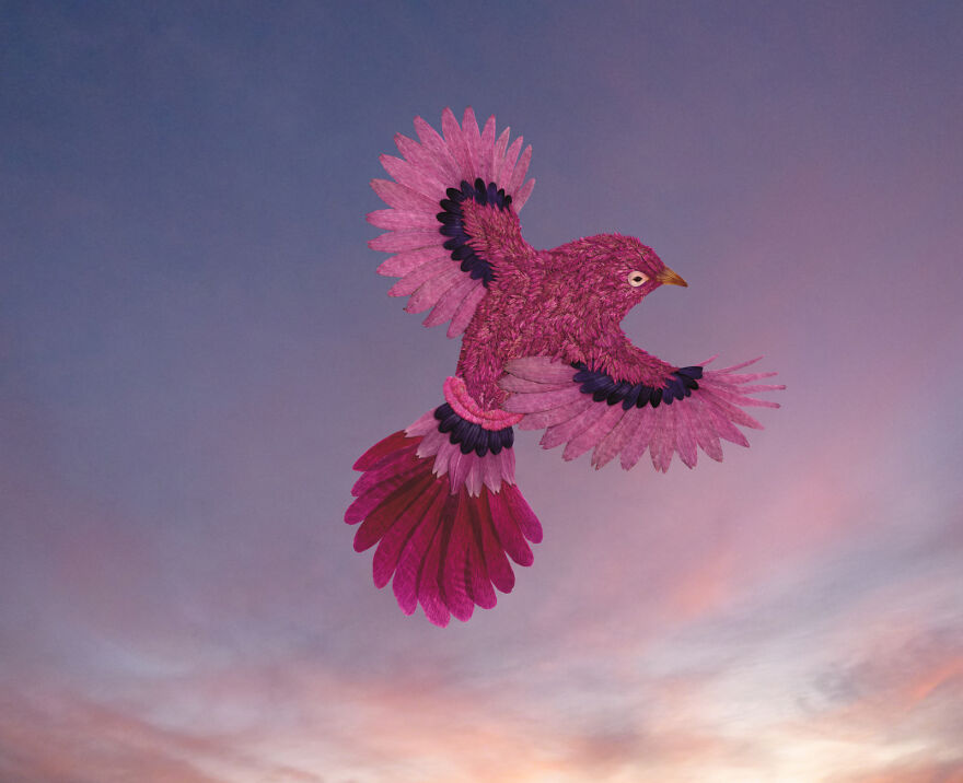 I Make Art From Pressed Dried Flowers And Plants