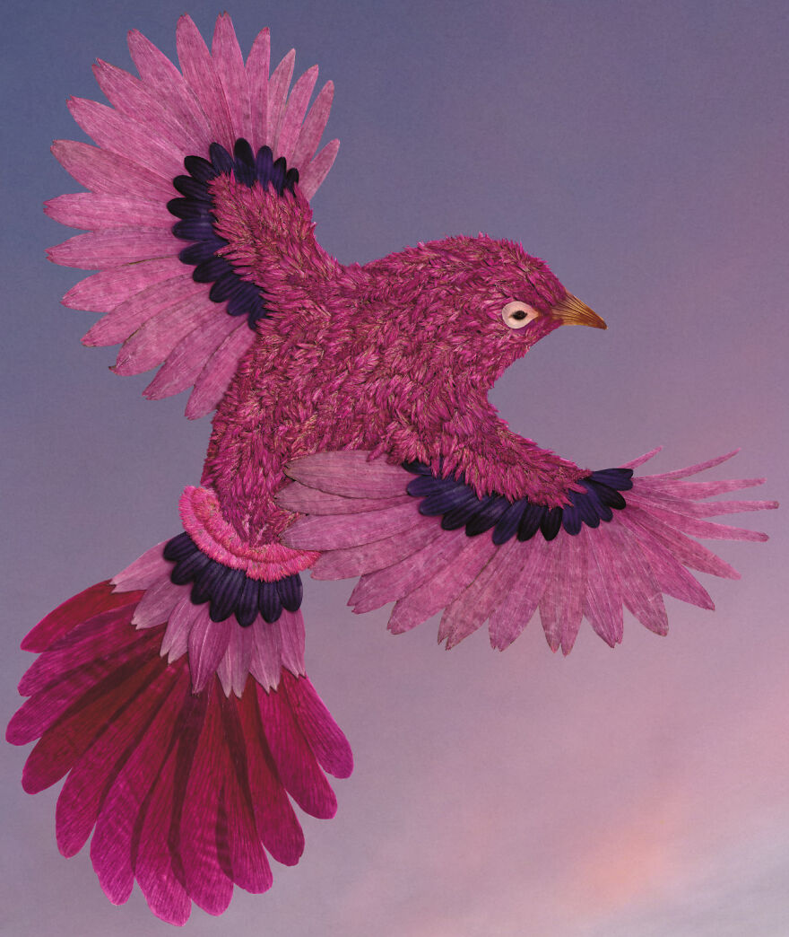 I Make Art From Pressed Dried Flowers And Plants I Make Art From Pressed Dried Flowers And Plants