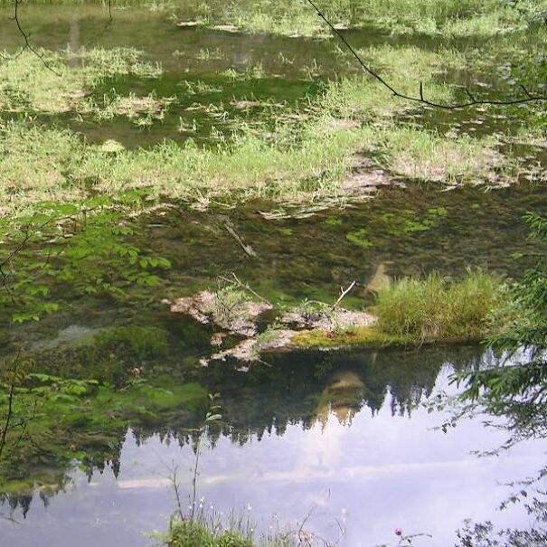 I Pictured Eerie Water Reflections