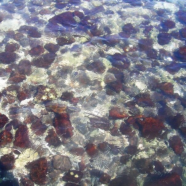 I Pictured Eerie Water Reflections