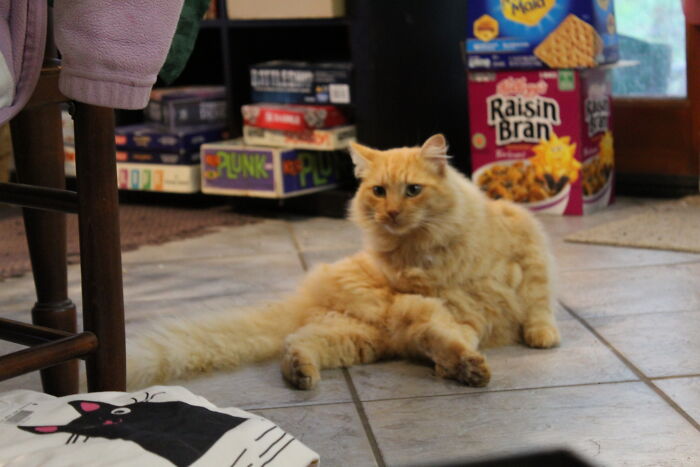 Are You Sure That's Comfortable?? Ok If You Say So...