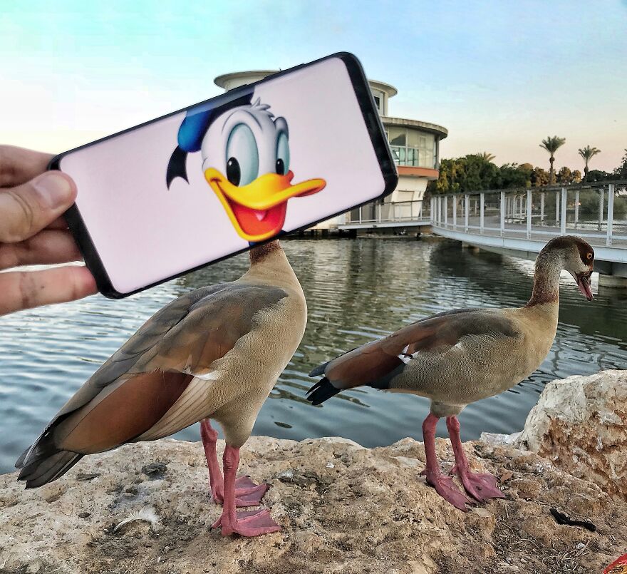 I Bring Everyday Objects To Life With My Smartphone And No Editing