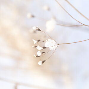 maylin_martinsen avatar