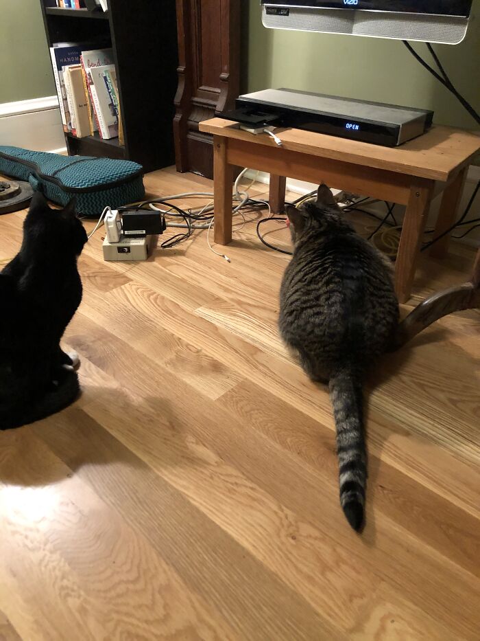 The Babies Love To Watch The Disk Ejector (Or What Ever It Is Called) On Our TV Go In And Out!