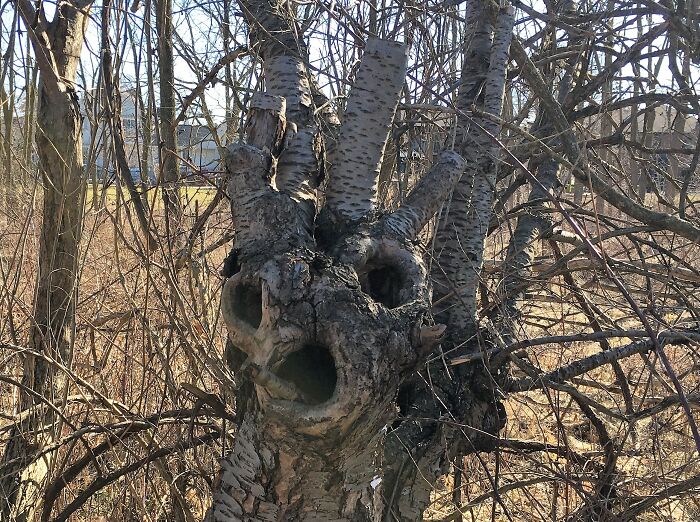 Not The Friendliest Guy I Ever Met, But Then I Was The One Trespassing On His Territory!