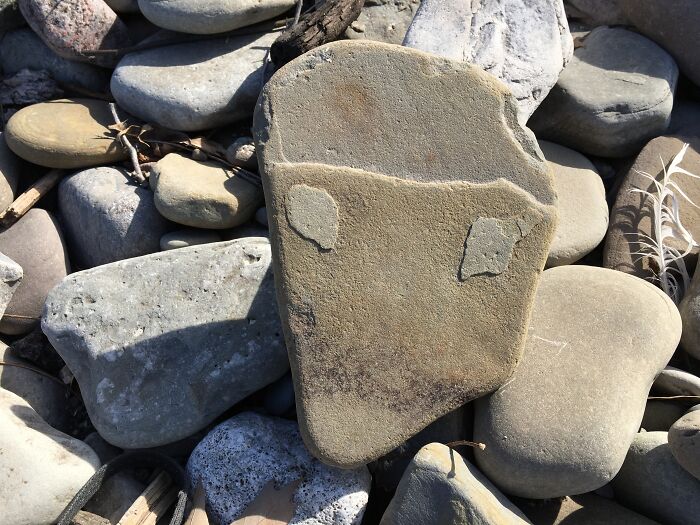 Met This Guy At The Beach The Other Day...next Thing I Know He's Moved In With Me!