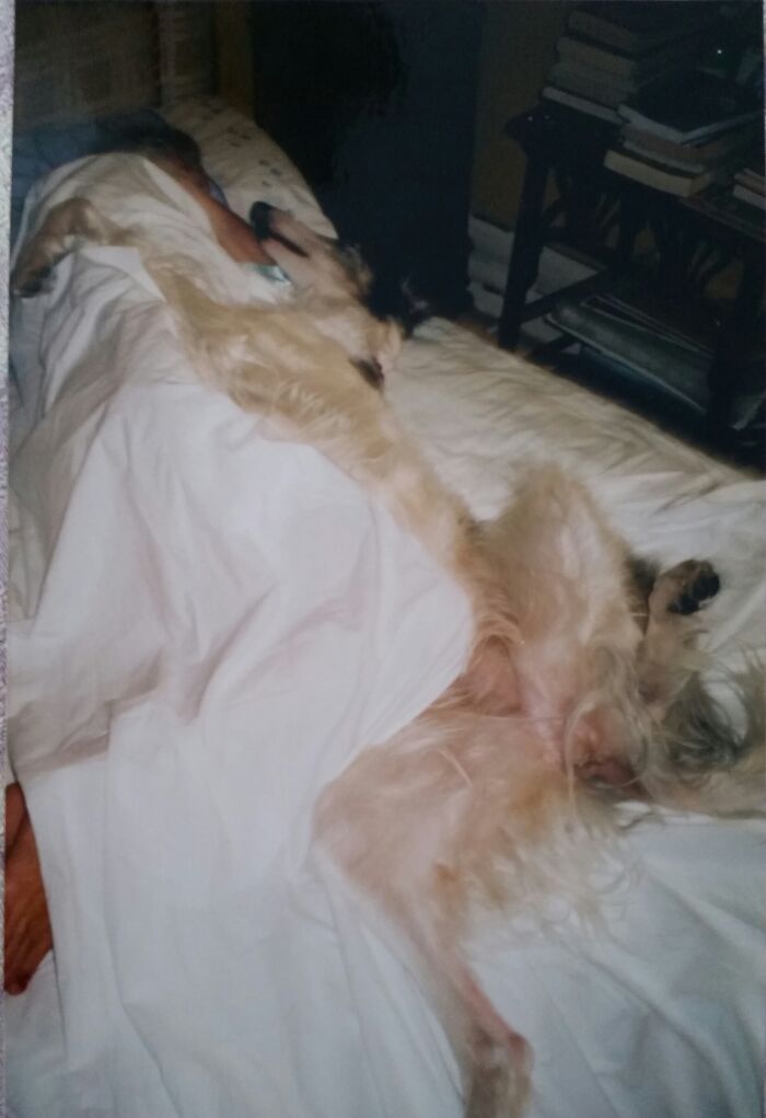 The Not So Noble Tamara De Nicholaief Sleeping With Mum