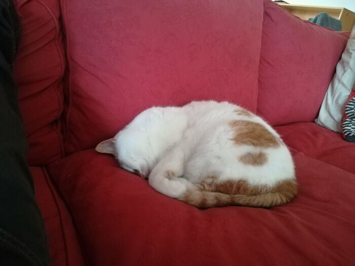 Emma. She Sleeps Like This.