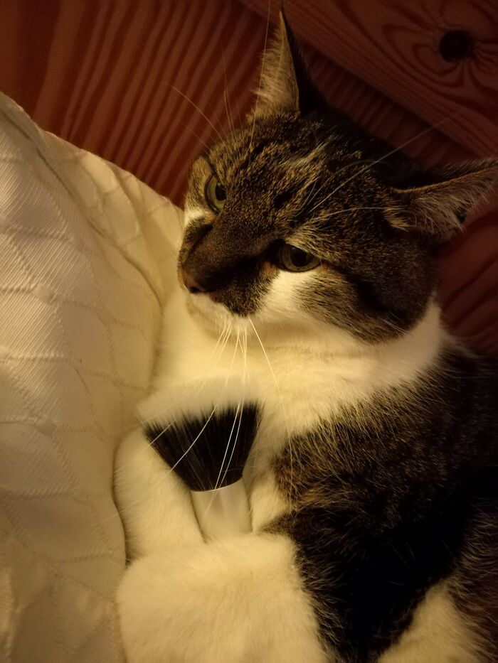 Got Him His Own, So He Won't Swipe Mine...