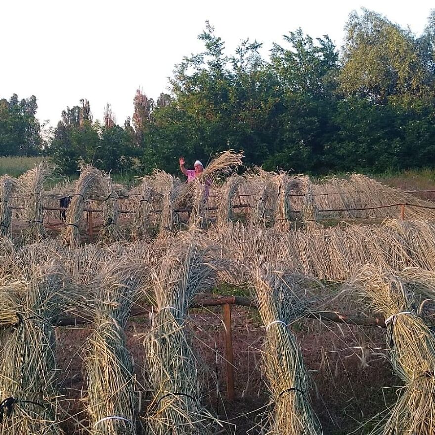 I Want To Revive The Art Of Weaving From Straw I Want To Revive The Art Of Weaving From Straw