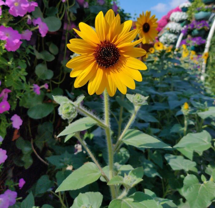 Love How This Turned Out