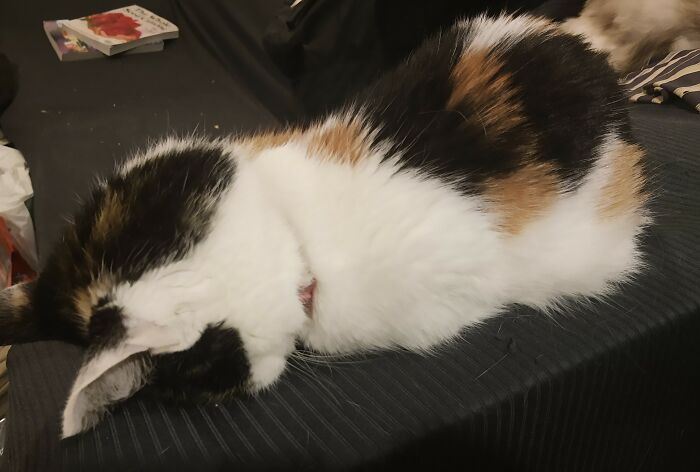 Nadya Sleeps Like This All The Time