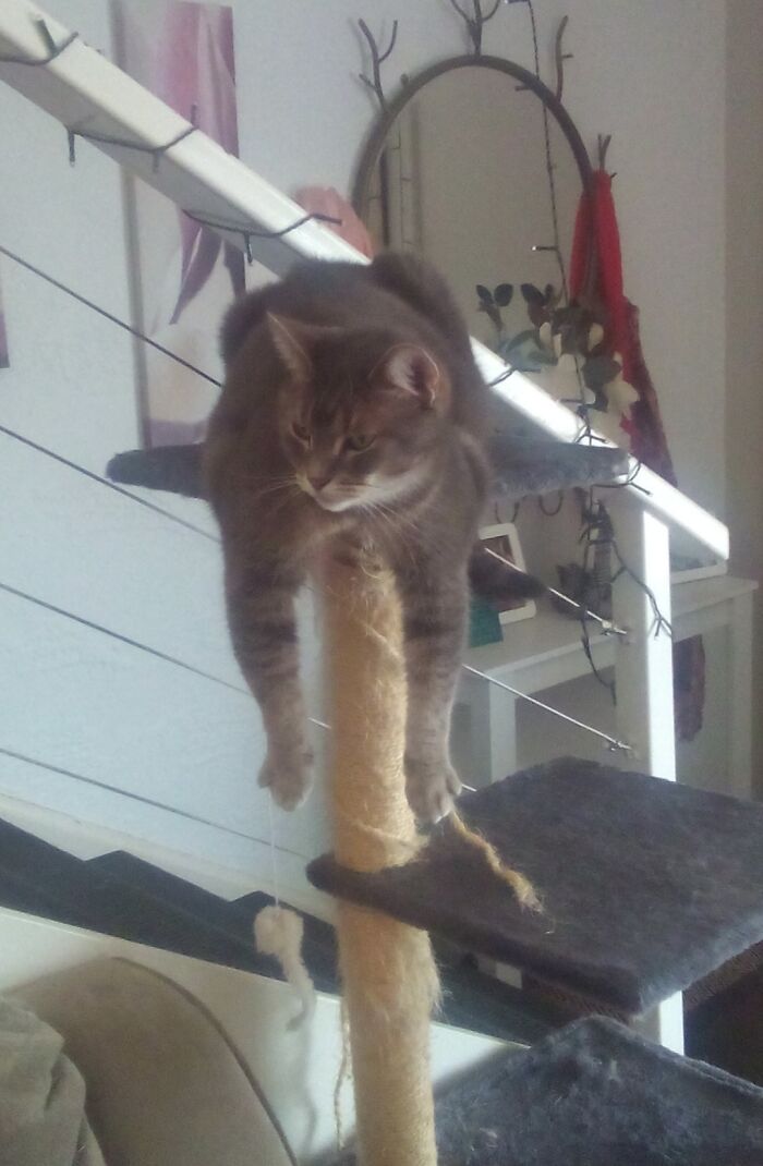 Just Hanging Around