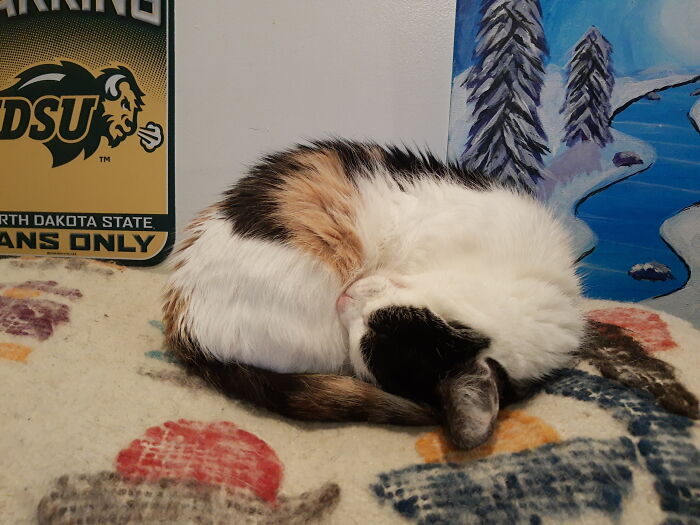 Imagine Touching Your Forehead To Your Knee And Then Just Falling Asleep That Way...