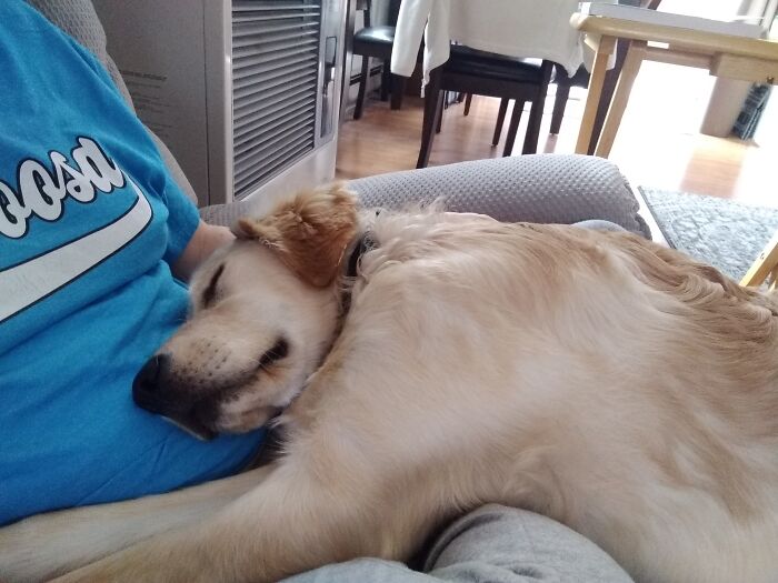 Snuggles From Oliver.