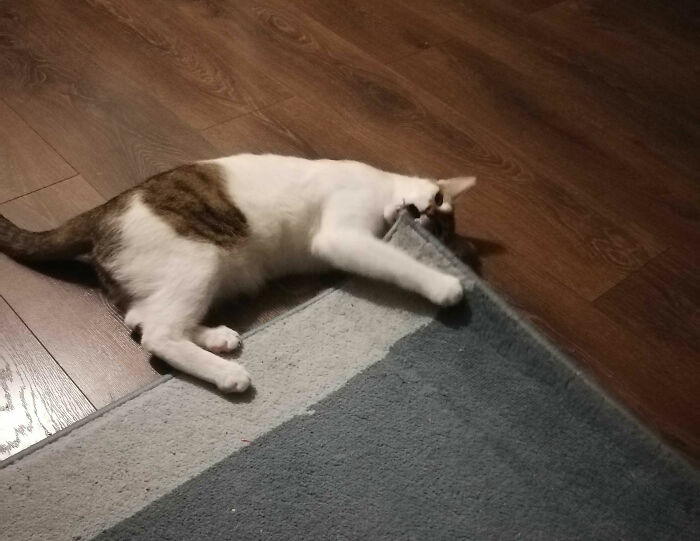 When You Know That You Are Next