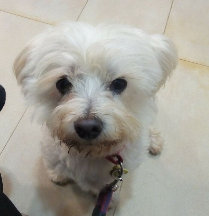 I've Got The Impression That Sometimes He Just Hates Me Specially When We Are Indoors......