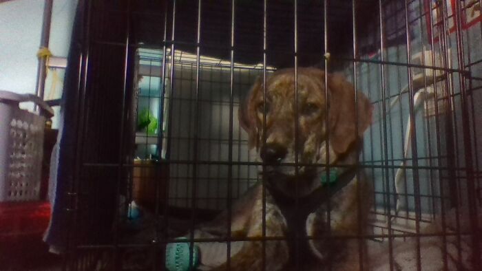 10# You Dare Put Me In Jail