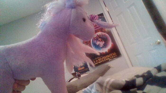 I Did Nottttttt Brush Her Darn Hair