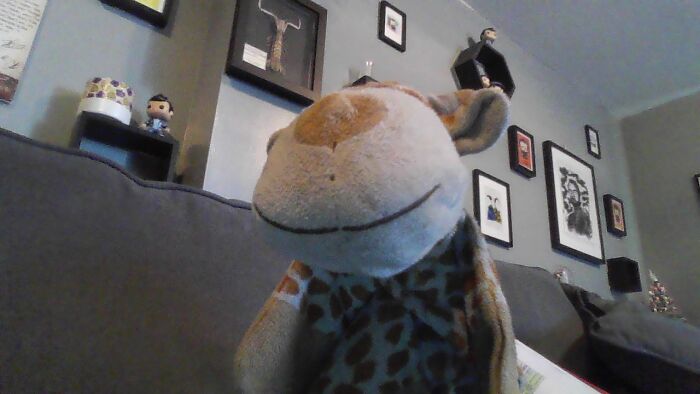 My Favorite Stuffed Animal