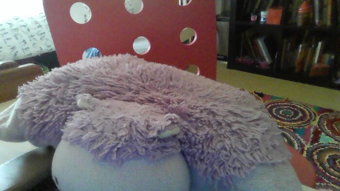 Hanna Banana, A Purple Guinea Pig Pillow I Have Had Since I Was Around 6 Months Old. I Had This One Phase Where I Took Her Everywhere, Even Accidentally Leaving Her At My Preschool. It's Been Ten Years And A Wild Ride, Hanna Banana :)