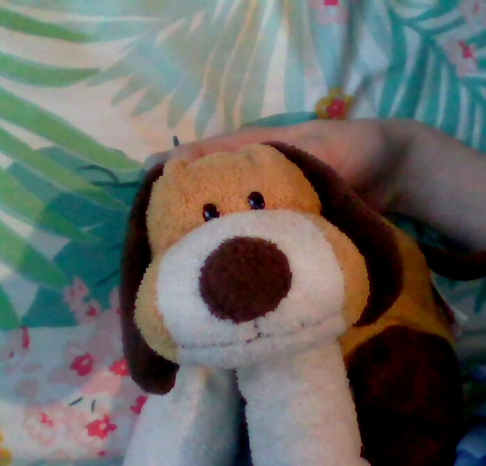 My Floppy Old Dog-Dog.