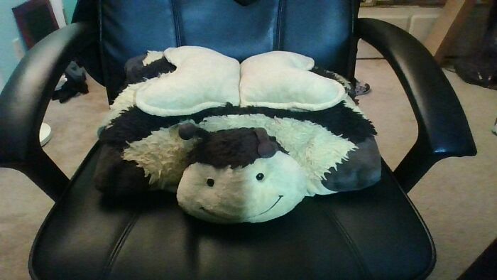 When I Was Like Three My Mom Bought Me And My Sister Pillow Pets. I Have The Bee One His Name Is Mr.bee
