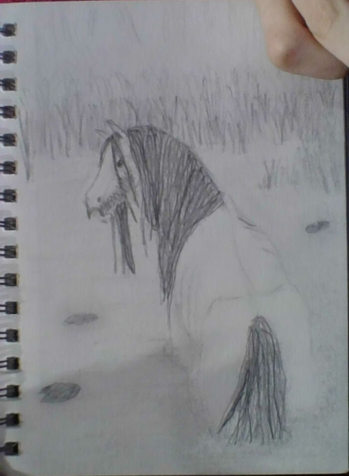 It's A Kelpie. Sorry About The Low Quality Picture By The Way. My Camera Sucks.