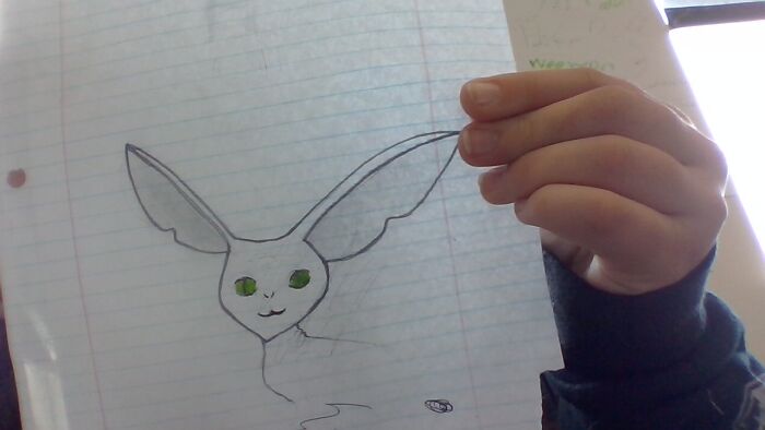 I Recently Made This Sphinx Cat! (Sorry If Its A Bad Quality.)