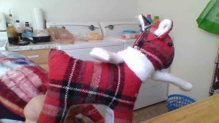 I Had Him For 3 Months