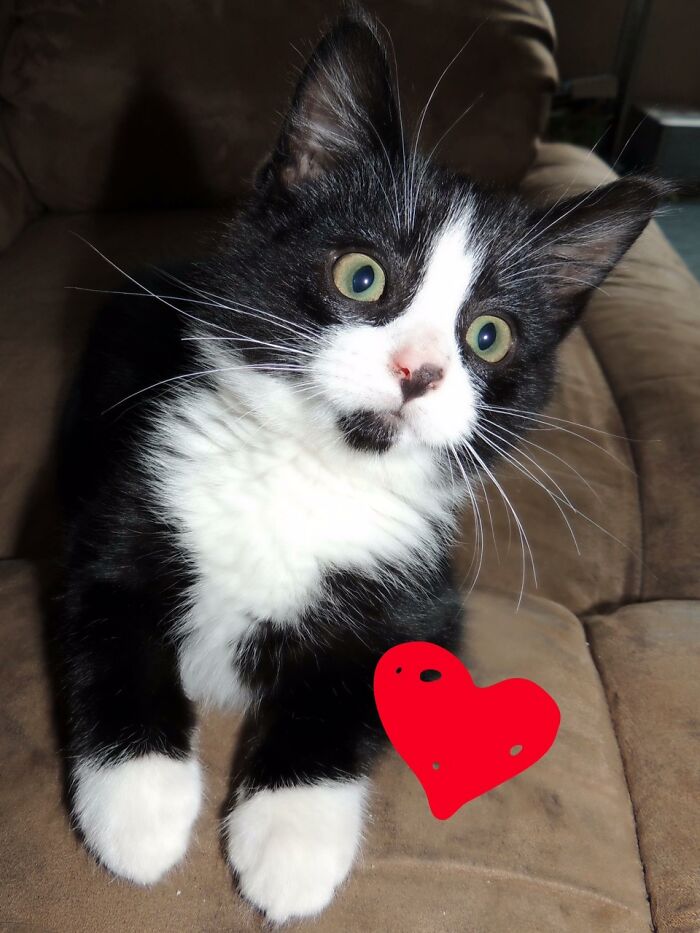 This Lil Boi Is 8 Years Old Now!