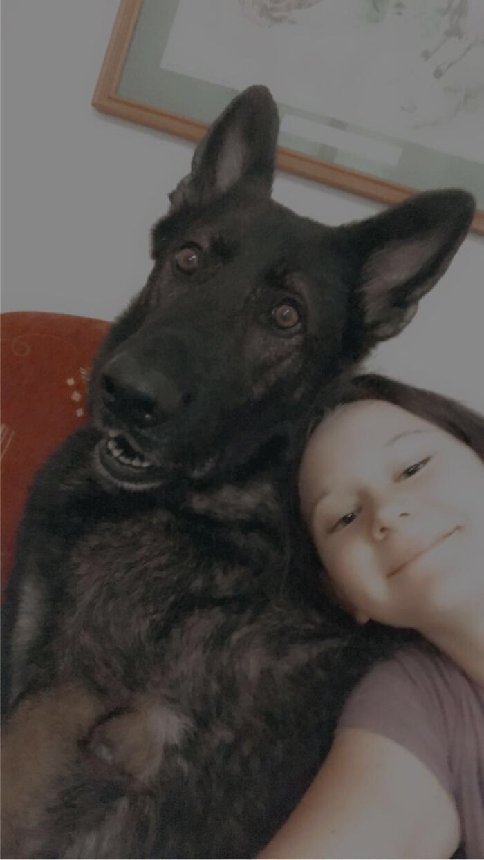 He Was Trained To Be A Police Dog But He Was Fired Because He Didn't Want To Hurt Anyone.