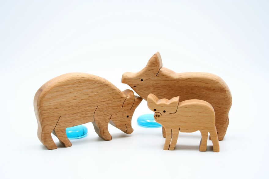 Pigs Family (Beech Wood)