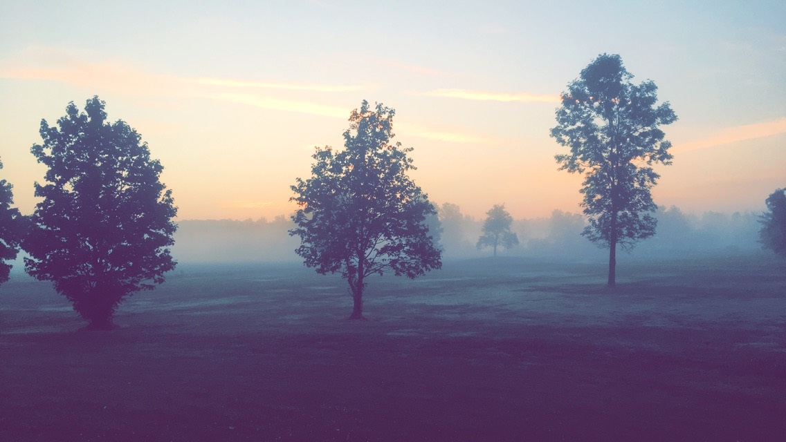 Such A Profound Sense Of Ambition And Wonder When Understanding The Reality Of Earths Elements As It Surrounds You.