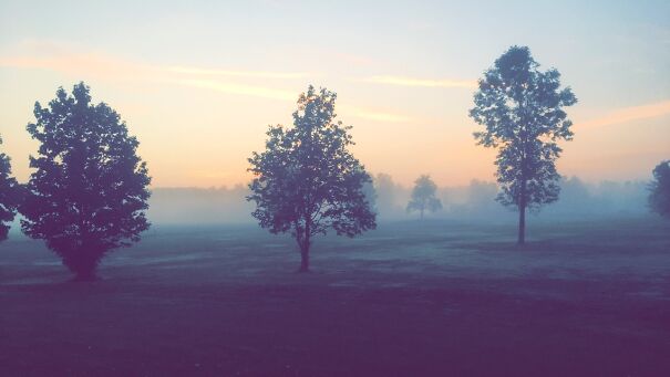 Such A Profound Sense Of Ambition And Wonder When Understanding The Reality Of Earths Elements As It Surrounds You.