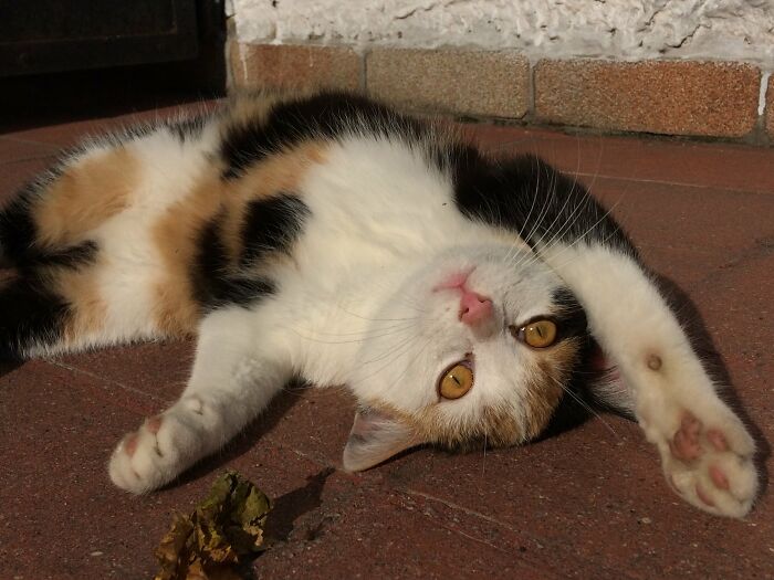 Draw Me Like One Of Your French Girls