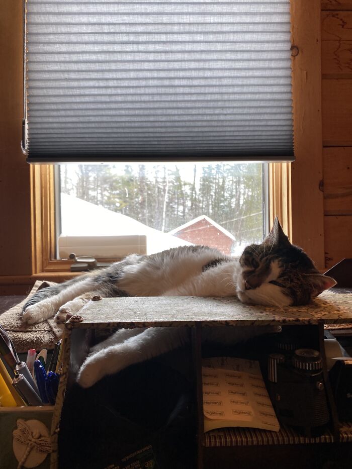 Sleeping On The Job.