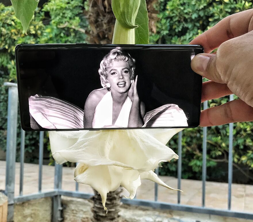 I Bring Everyday Objects To Life With My Smartphone And No Editing