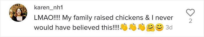 A Guy Finds His Chicken Taking Care Of Three Orphaned Kittens And Captures It In A Viral Video