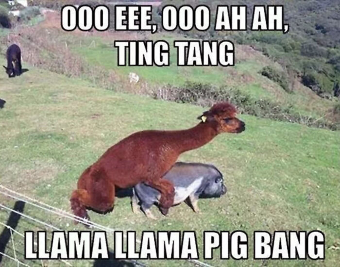 Ok Now... Sing Along With The Chipm... Nah...